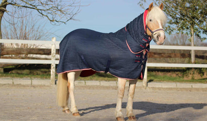 Review of the combo dry-tech cooler rug 